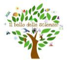 Il bello delle scienze
